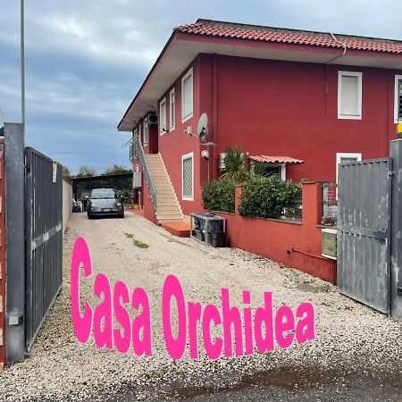 Casa Orchidea Fiumicino Exterior foto