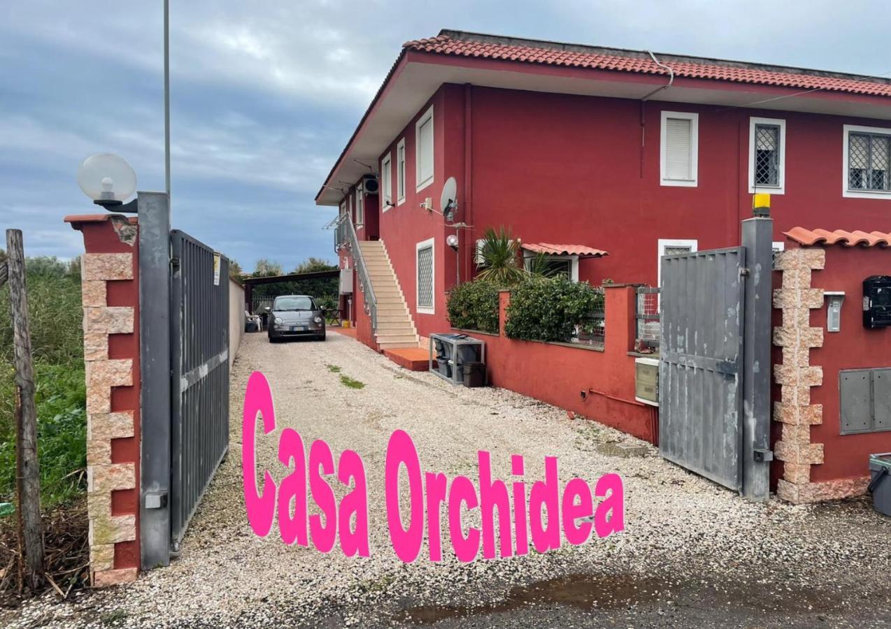 Casa Orchidea Fiumicino Exterior foto
